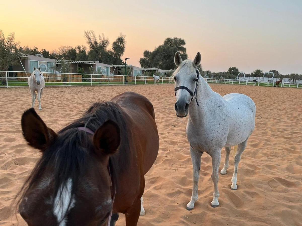 Nirvana Retreat Digdaga المظهر الخارجي الصورة