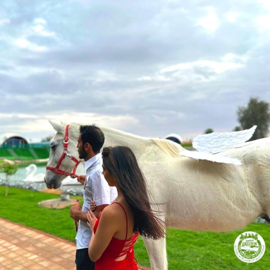 Nirvana Retreat Digdaga المظهر الخارجي الصورة