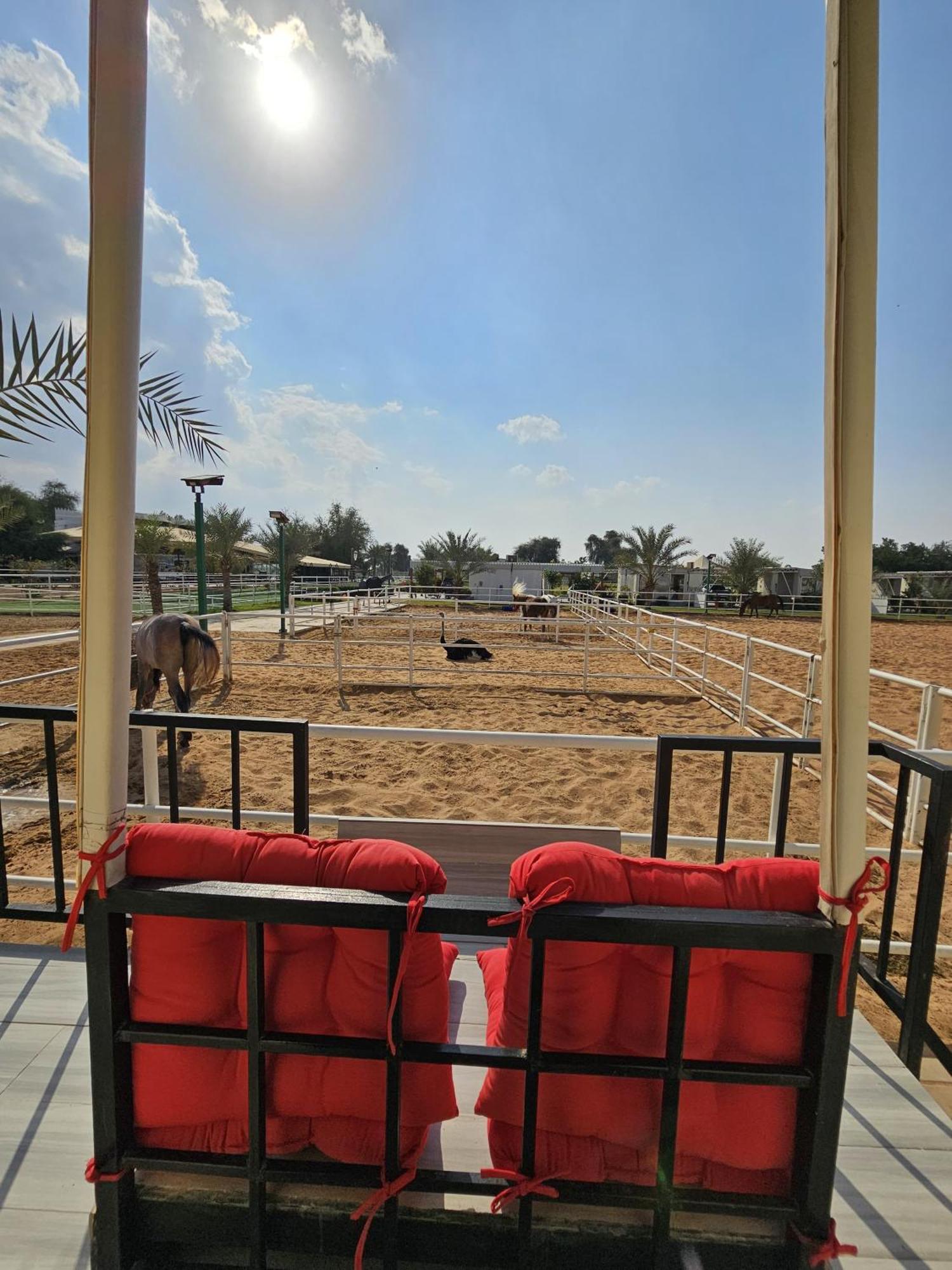 Nirvana Retreat Digdaga المظهر الخارجي الصورة